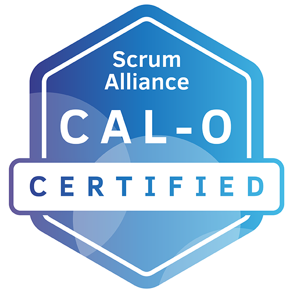 Scrum Alliance certified agile leader - Organizations